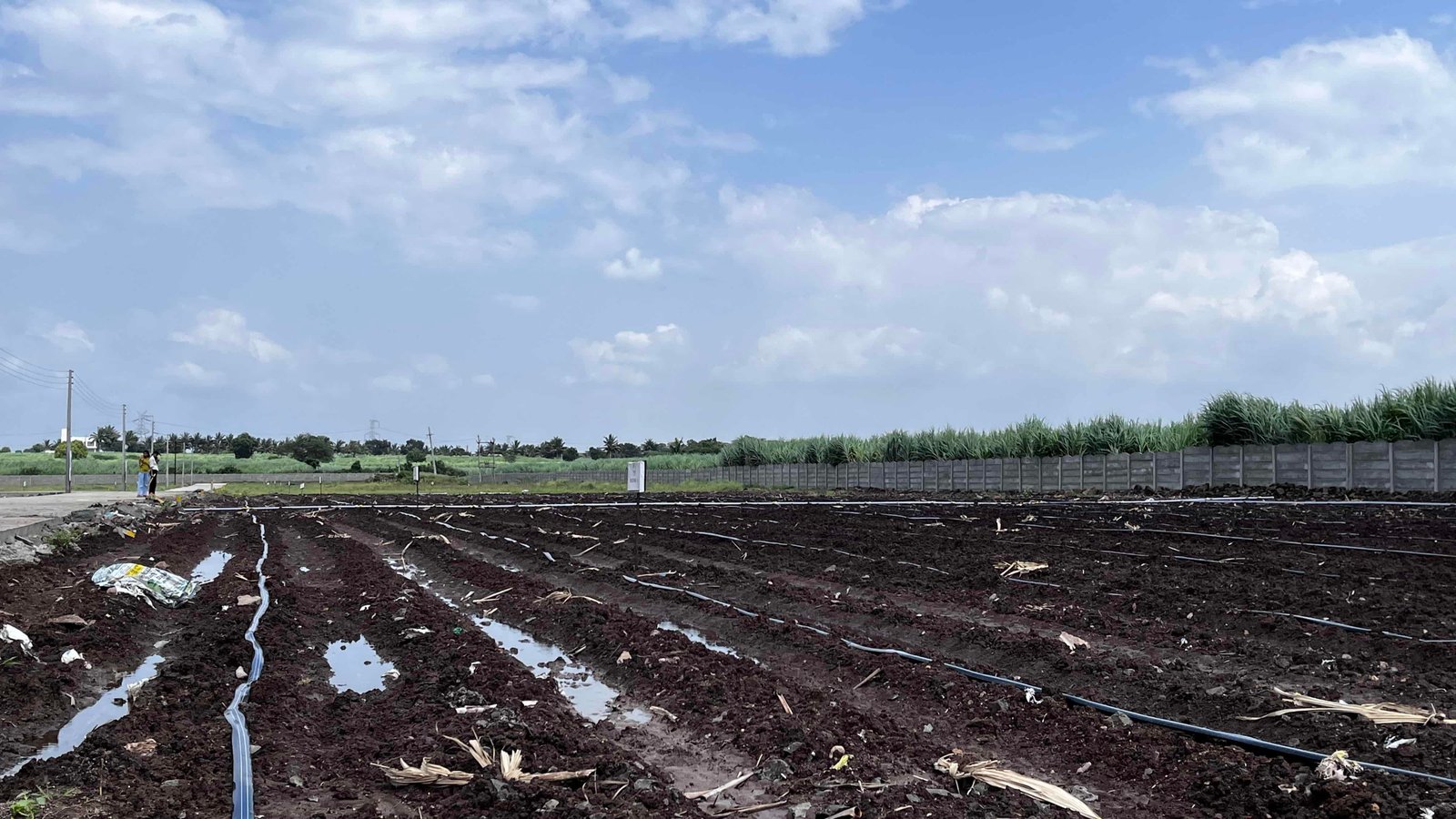 Shaantivan Level Fertile Farmland
